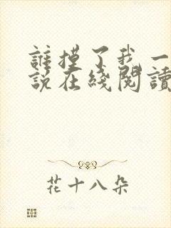 谁摸了我一下小说在线阅读