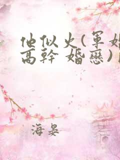 他似火(军婚 高干 婚恋)臣言