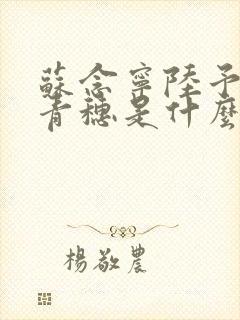苏念宁陆予深乔青穗是什么小说