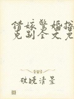 错嫁惊婚总裁请克制全文免费阅读