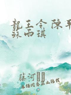 龙王令 陈平 苏雨琪