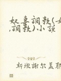 奴妻调教(女m,调教)小说