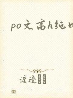 po文高h纯肉