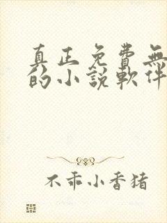 真正免费无广告的小说软件下载