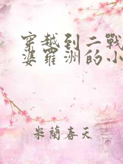 穿越到二战买下婆罗洲的小说