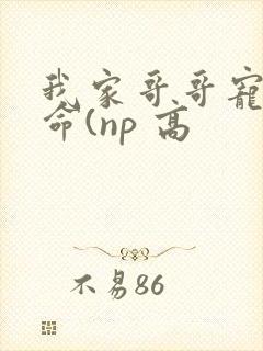 我家哥哥宠妹如命(np 高