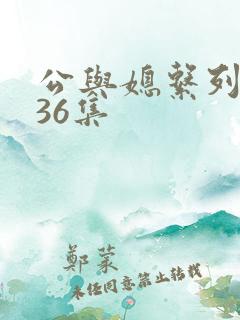 公与媳系列1—36集