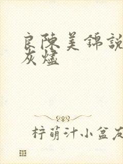良陈美锦说沉香灰烬