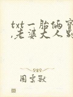 txt一胎俩宝,老婆大人别想逃下载