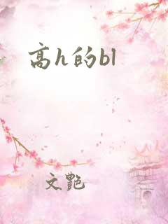 高h的bl
