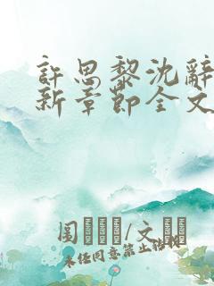 许思黎沈辞越最新章节全文免费阅读