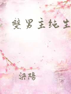 双男主纯生子文