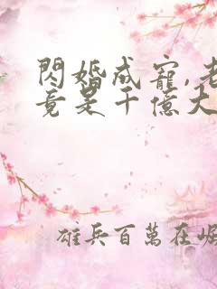 闪婚成宠,老公竟是千亿大佬i