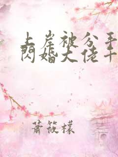上岸被分手后我闪婚大佬千金小说