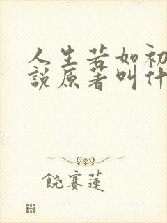 人生若如初见小说原著叫什么