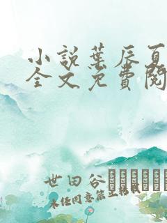 小说叶辰夏若雪全文免费阅读无弹窗