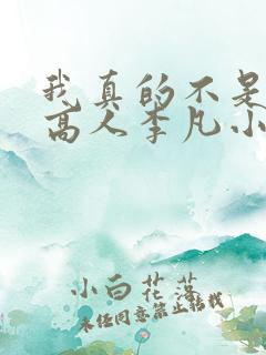 我真的不是绝世高人李凡小说