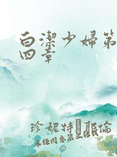 白洁少妇第二十四章
