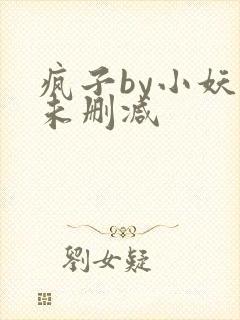 疯子by小妖子未删减