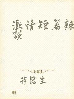 激情短篇辣文小说