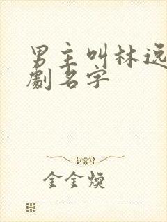 男主叫林逸的短剧名字