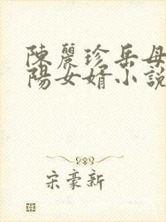 陈丽珍岳母,宋阳女婿小说