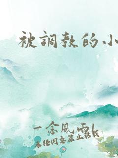 被调教的小说h