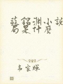 苏铭渊小说大结局是什么
