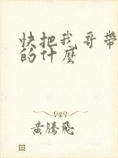 快把我哥带走讲的什么