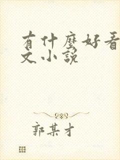 有什么好看的爽文小说