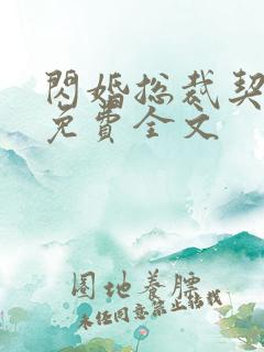 闪婚总裁契约妻免费全文