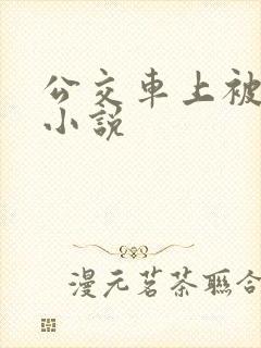 公交车上被插的小说