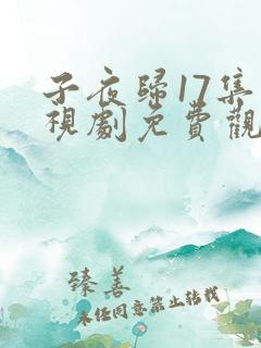 子夜归17集电视剧免费观看全集高清