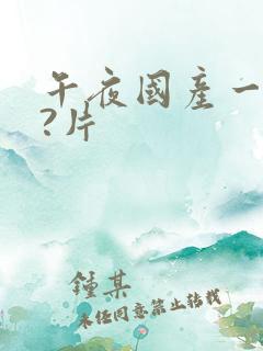 午夜国产一级??片