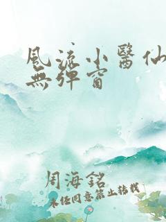 风流小医仙小说无弹窗