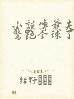 小说傅爷夫人又惊艳全球了免费阅读