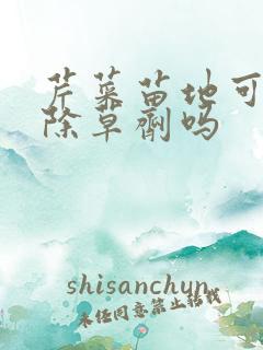 芹菜苗地可以打除草剂吗