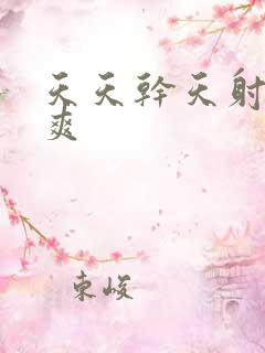 天天干天射天天爽
