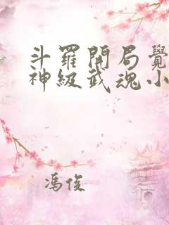 斗罗开局觉醒超神级武魂小说