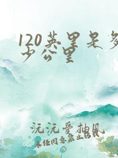 120英里是多少公里