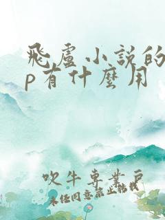 飞卢小说的vip有什么用