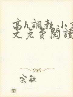 高h调教小说全文免费阅读
