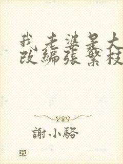 我老婆是大明星改编张繁枝
