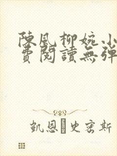 陈风柳婉小说免费阅读无弹窗