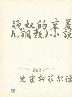 贱奴的哀羞(高h,调教)小说