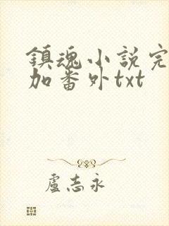 镇魂小说完整版加番外txt