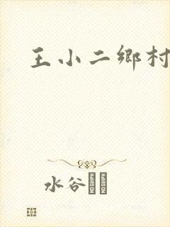 王小二乡村野事