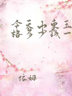 今天山东玉米价格多少钱一斤