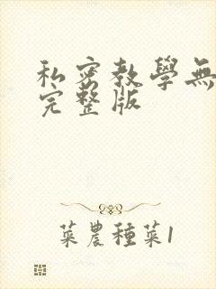私密教学无删减完整版