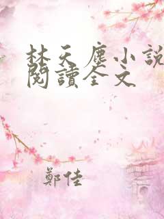 林天尘小说免费阅读全文